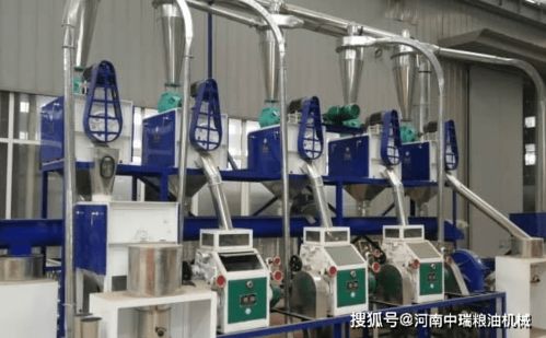 高效生產(chǎn)，靈活加工 小中大型玉米面加工設(shè)備與柔性材料加工設(shè)備的技術(shù)與應(yīng)用解析