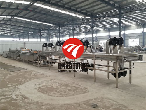 凈菜與柔性材料加工設備 智能升級如何破解人工操作困局